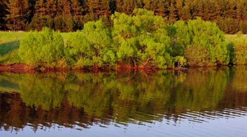 Reflection of trees in the river at sunset Video stock 24232364