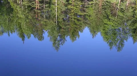 Reflection of trees on the river surface Stock Footage 66260395