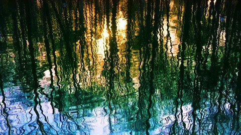 Reflection of trees of the sky and sunlight in a forest lake in early spring Stock Footage 107000505