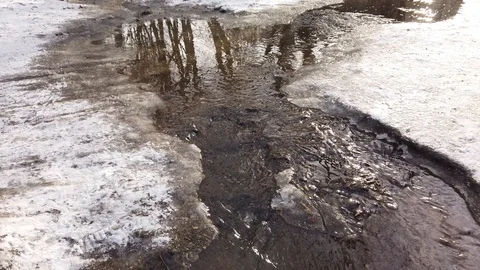 Reflection of trees in a stream on a sunny day in early spring Stock Footage 123573158