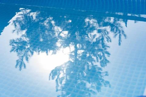 Reflection of Trees in a Swimming Pool Stock Photos