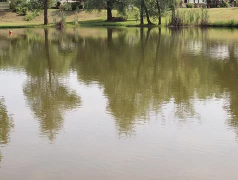 Reflection of the trees on the turbid water surface Stock Photos