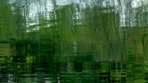 Reflection of Trees Upon Water Stock Footage 49482421