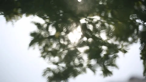 The reflection of the trees is visible in the lake 1 Video stock 330130508