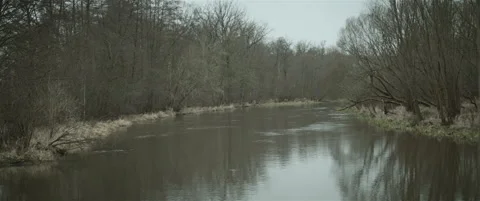Reflection of trees in water anamorphic Stock Footage 297633779