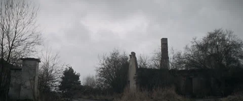 Reflection of trees in water anamorphic Stock Footage 297633795