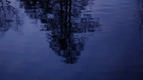 Reflection of trees in the water in the evening in the park Stock Footage 142904753