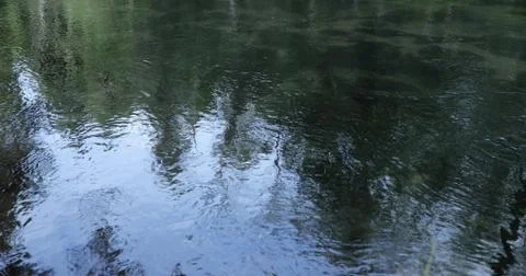 Reflection of trees in the water in the evening Stock Photos