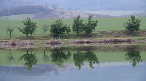 Reflection of trees in water Stock-Footage 35716068