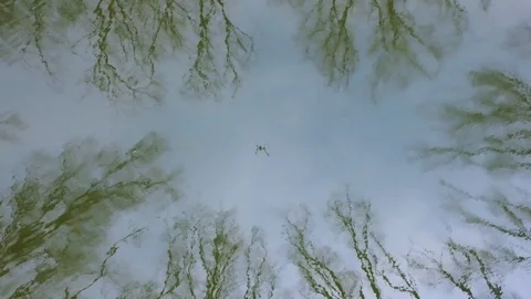 Reflection of trees in water Stock Footage 124762542