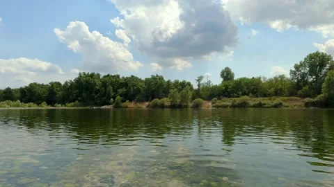 Reflection of trees in water Stock Footage 220679693