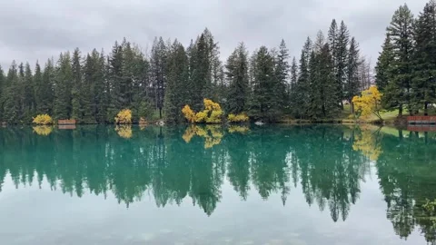 Reflection Of Trees In The Water Stock Footage 253153217