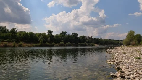 Reflection of trees in water Stock Footage 254037639