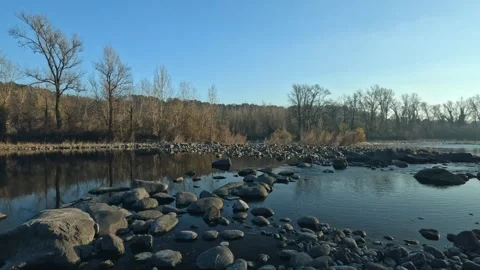 Reflection of trees in the water Stock Footage 260763573