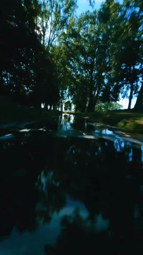 Reflection of trees in water Stock Footage 273141285