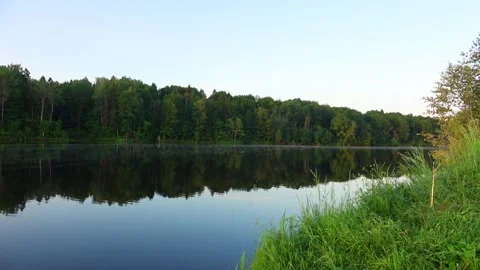 Reflection of trees in water Stock Footage 276876478