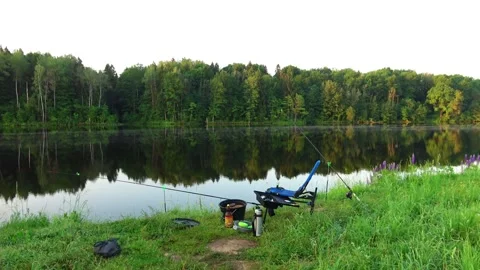 Reflection of trees in water Stock Footage 276876516