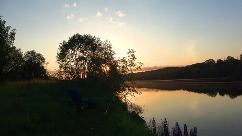 Reflection of trees in water Stock Footage 276876535