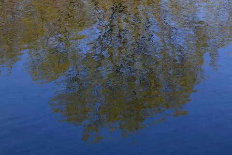 Reflection of trees in the water Stock Photos