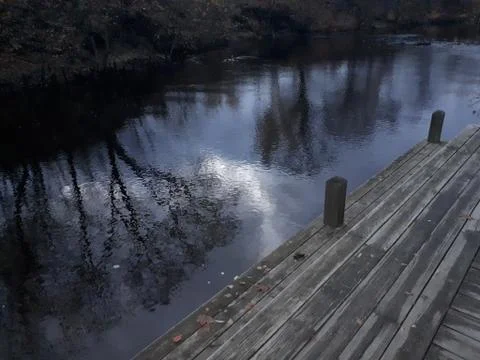 Reflection of trees in water Stock Photos