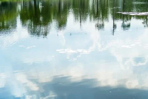 The reflection of trees in water. Stock Photos