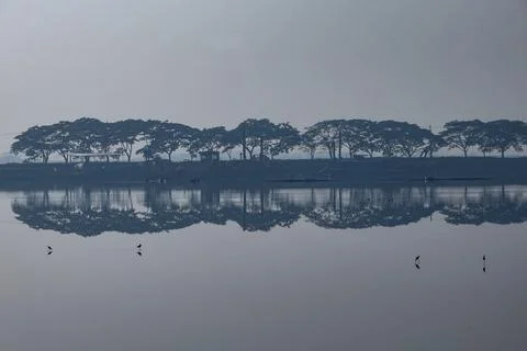 Reflection of trees in water Foto stock