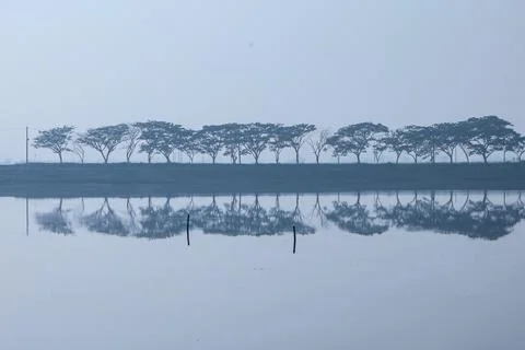 Reflection of trees in water Foto stock