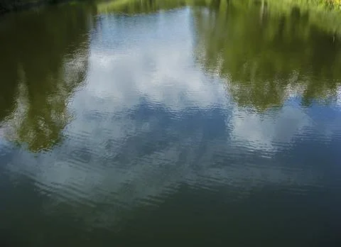 Reflection of trees in the water Foto stock