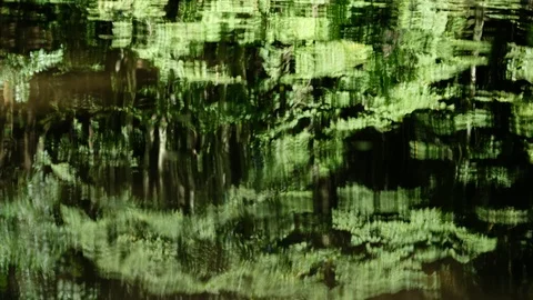 Reflection of trees in the water of the river aist Stock Footage 126776751