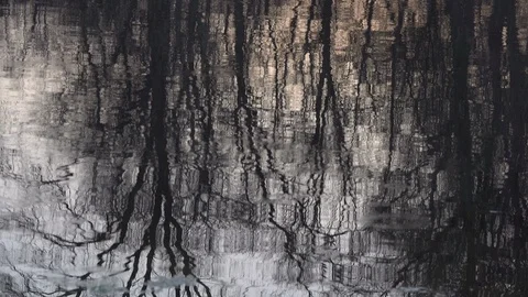 Reflection of trees in the water of the river. Stock Footage 106924977