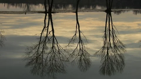 Reflection of trees on the water in winter 4K- Italian Nature Video stock 94792035