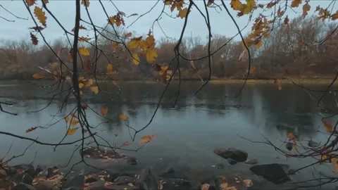 Reflection of trees in the water in winter Stock Footage 233212742