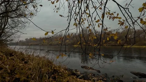 Reflection of trees in the waterin a rainy day Stock Footage 232372159