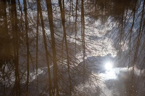 Reflection of trees without leaves, sky, clouds and sun in water. Stock Photos