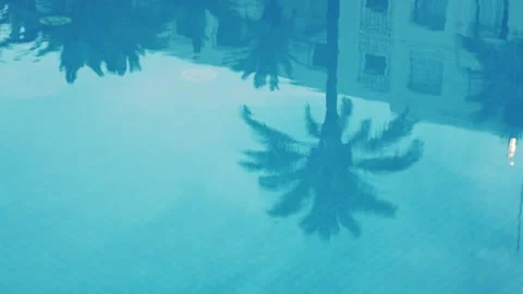 Reflection of a tropical palm tree in a calm swimming pool surface, travel co Stock Footage 303922621