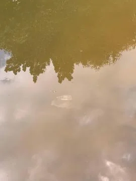 Reflection in Turvo Lake Stock Photos