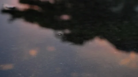 Reflection twilight sky in puddle water flooding on street Stock Footage 90480298