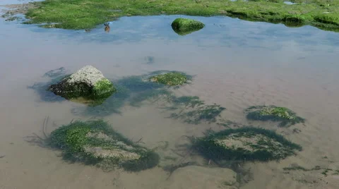 Reflection of two people in pool of water Stock Footage 52096565