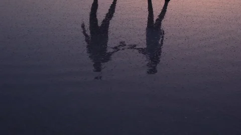 Reflection of two walking figures on a twilight salt lake Stock Footage 299729988