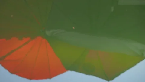 The reflection of the umbrella in the pool.In the afternoon. Stock Footage 125390859