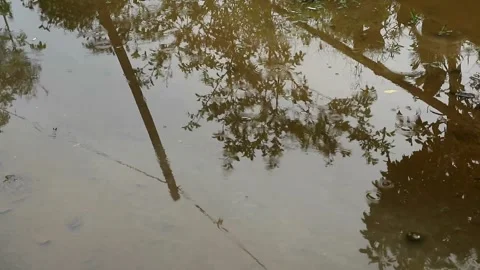 Reflection of a vew Stock-Footage 331988315