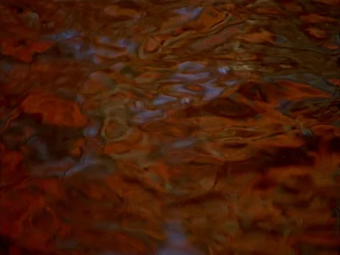 Reflection of vivid red and orange trees on the surface of a lake Stock Footage 86750691