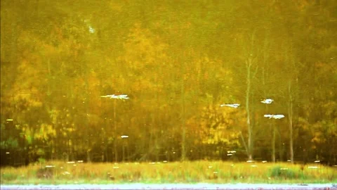 Reflection on water and rain Video stock 146432680