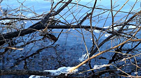 Reflection in water. Background Stock Footage 37267187