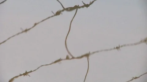 Reflection in the water of a barbed wire Video stock 111491524