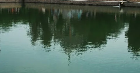 Reflection in the water of the basin of the ancient complex emir's summer Stock Footage 308012480