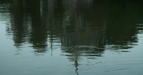 Reflection in the water of the basin of the ancient complex emir's summer Stock Footage 341317417