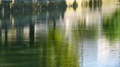 Reflection on the water of a canal. Stock Footage 95803583
