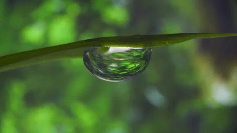 Reflection in water drop on the leaf 스톡 사진