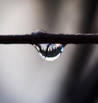 Reflection in a water drop Stock Photos